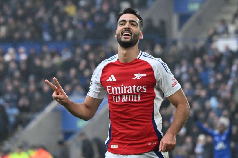 Победившая мериновая дубл