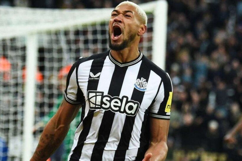 Джоэлинтон честно о своей роли в Ньюкасле. "Я бы никогда в это не поверил"