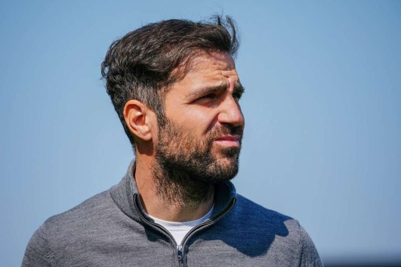 Немецкие СМИ не имеют сомнений. Сеск Фабрегас станет новым тренером RB Leipzig?