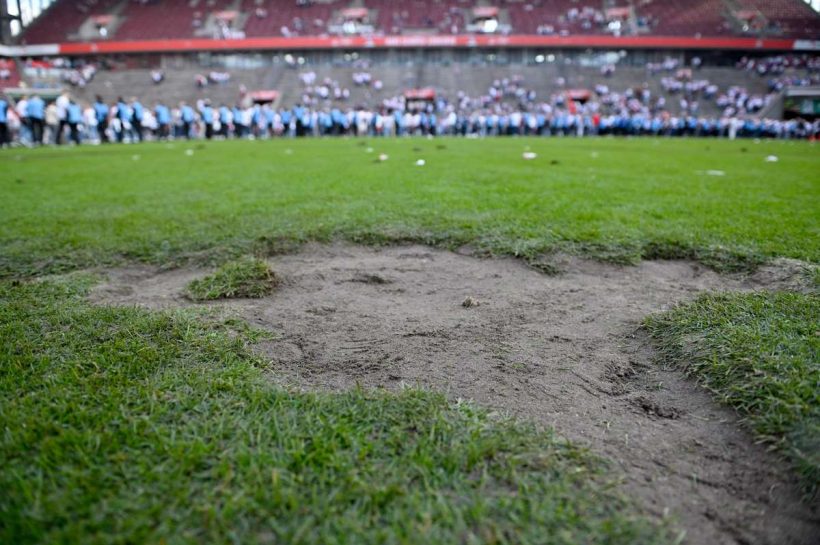 Сторонники FC Koeln продают в Интернете ... трава, которая дала повышение по службе