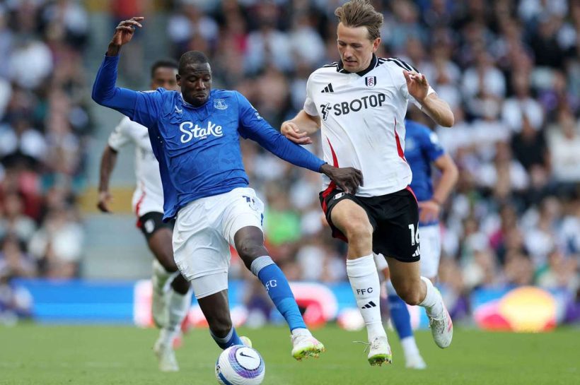 Малийский полузащитник Абдулай Дукур покинет Эвертон после окончания сезона