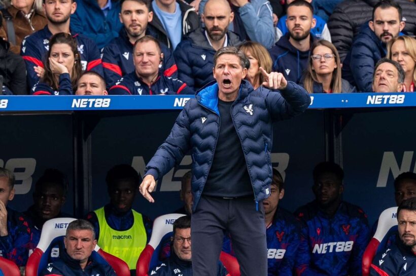 Гласнер: «Кристал Пэлас» имеет преимущество в атмосфере Селхерст Парка