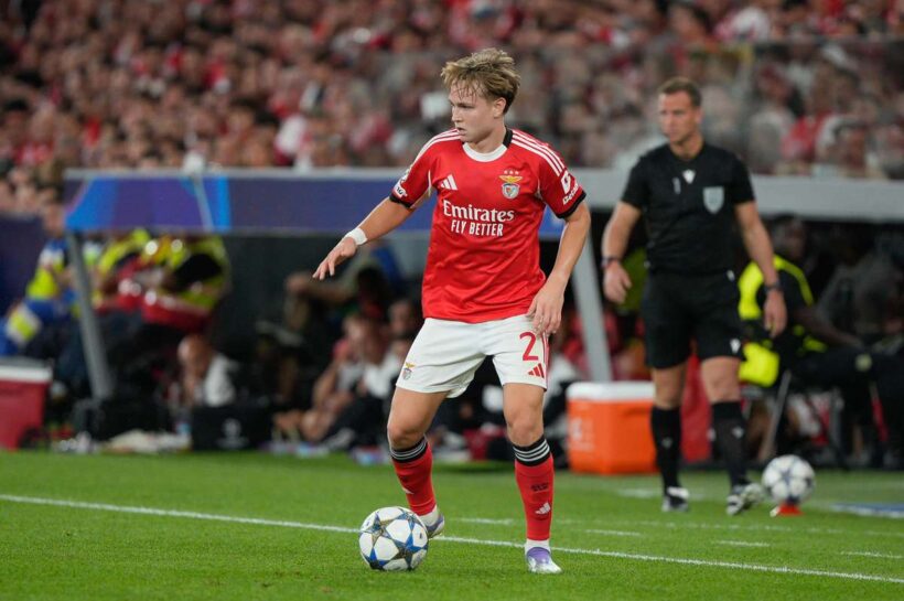 У Шельдерупа могут возникнуть проблемы с въездом в США на ЧМ-2026, норвежец получил условный срок